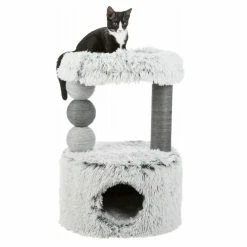 Buy 💯 Wholesale 💯 Trixie Harvey Scratching Post 🧨 ❤️
