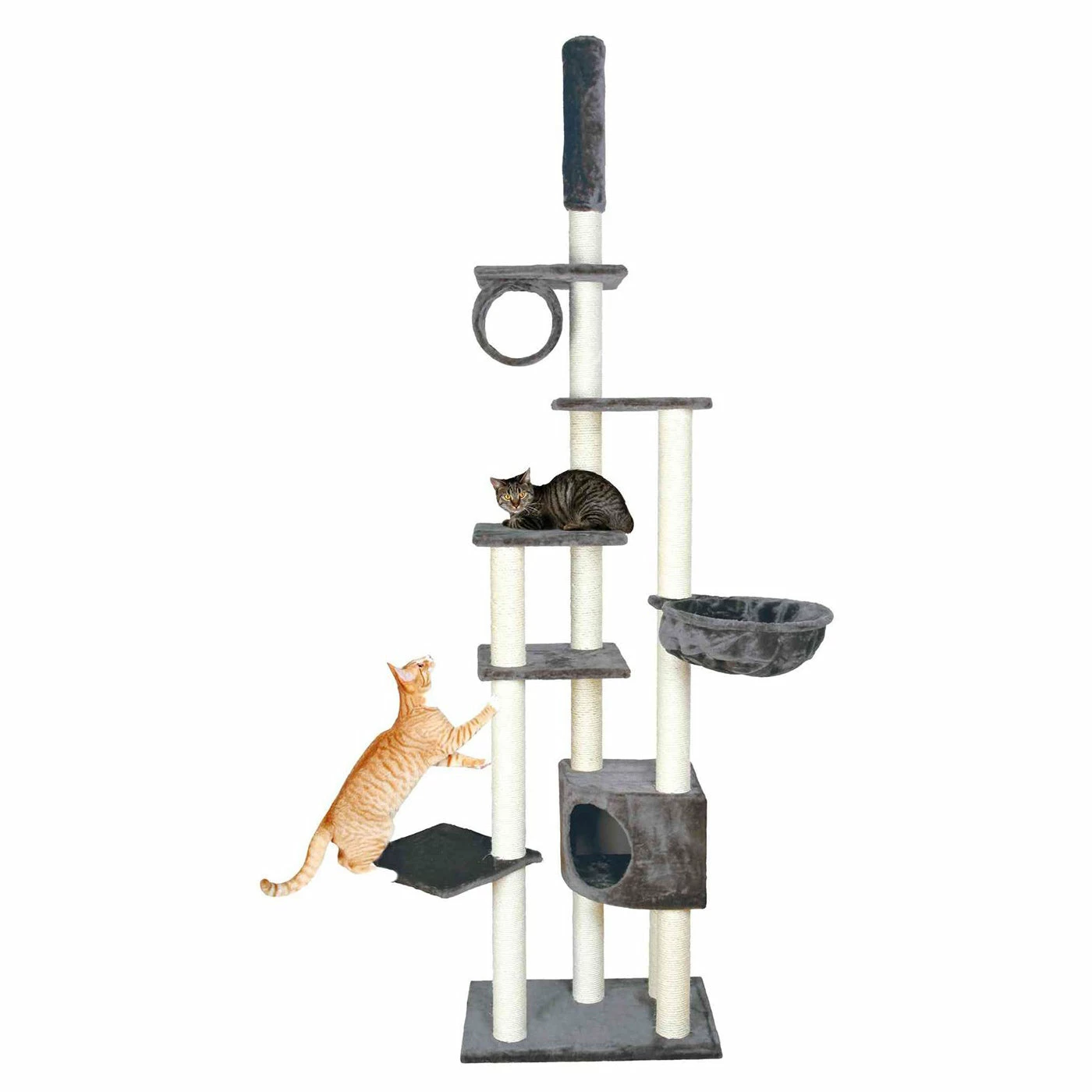 Coupon ๐ Cheap ๐ Trixie Madrid Floor To Ceiling Cat Tree ๐ฅ โ 1 Coupon ๐ Cheap ๐ Trixie Madrid Floor To Ceiling Cat Tree ๐ฅ โ