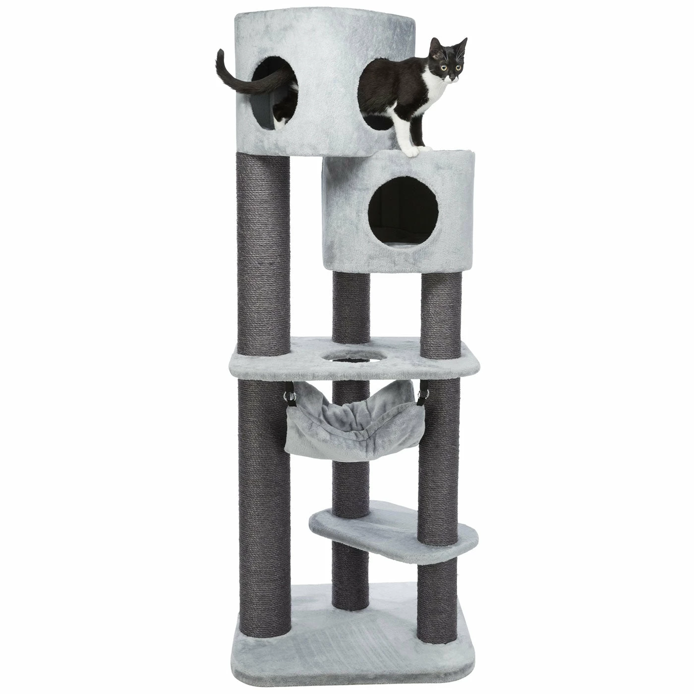 Promo ๐ Cheapest ๐ Trixie Pirro Cat Scratch Post ๐ ๐ 1 Promo ๐ Cheapest ๐ Trixie Pirro Cat Scratch Post ๐ ๐