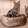 Best deal ⌛ Deals 😍 Lords & Labradors Personalised Luxury Mink Velvet Cat Donut Bed 😉 ⭐