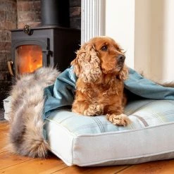 Wholesale ๐ Best deal ๐ Lords & Labradors Personalised Duck Egg & Wolf Faux Fur ๐ ๐ถ Dog & Puppy Blanket โ๏ธ โจ