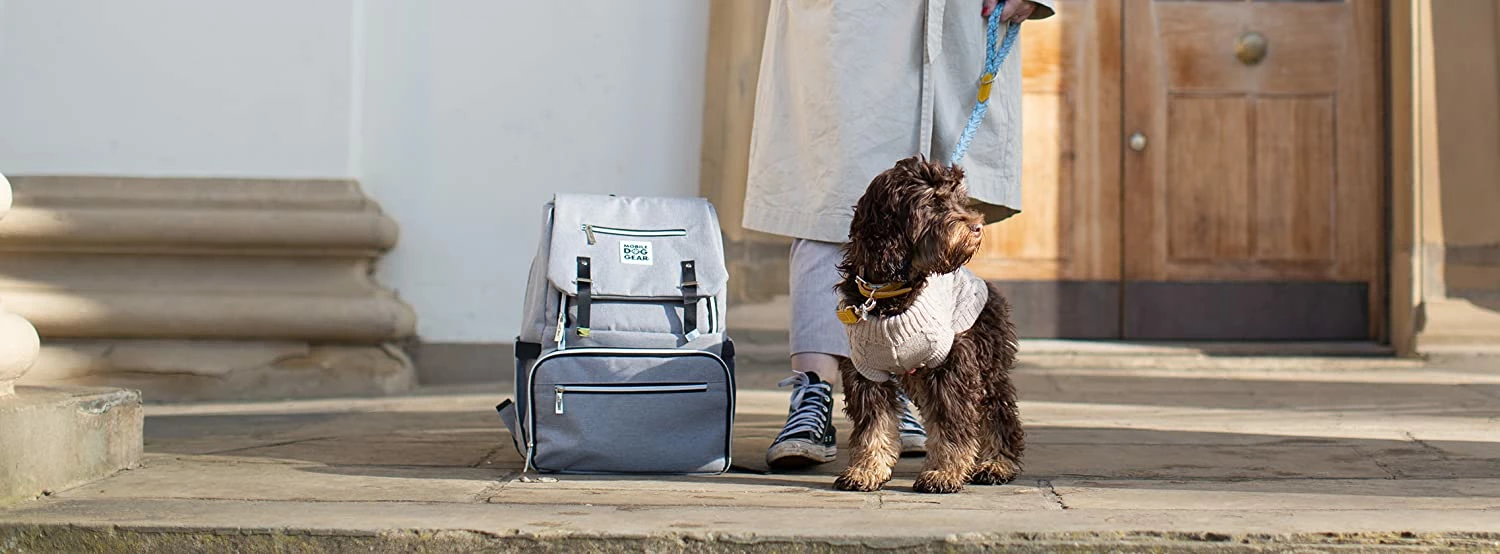 Cheap Lords & Labradors Store 2 Cheap Lords & Labradors Store -Cheap Lords & Labradors Store 1