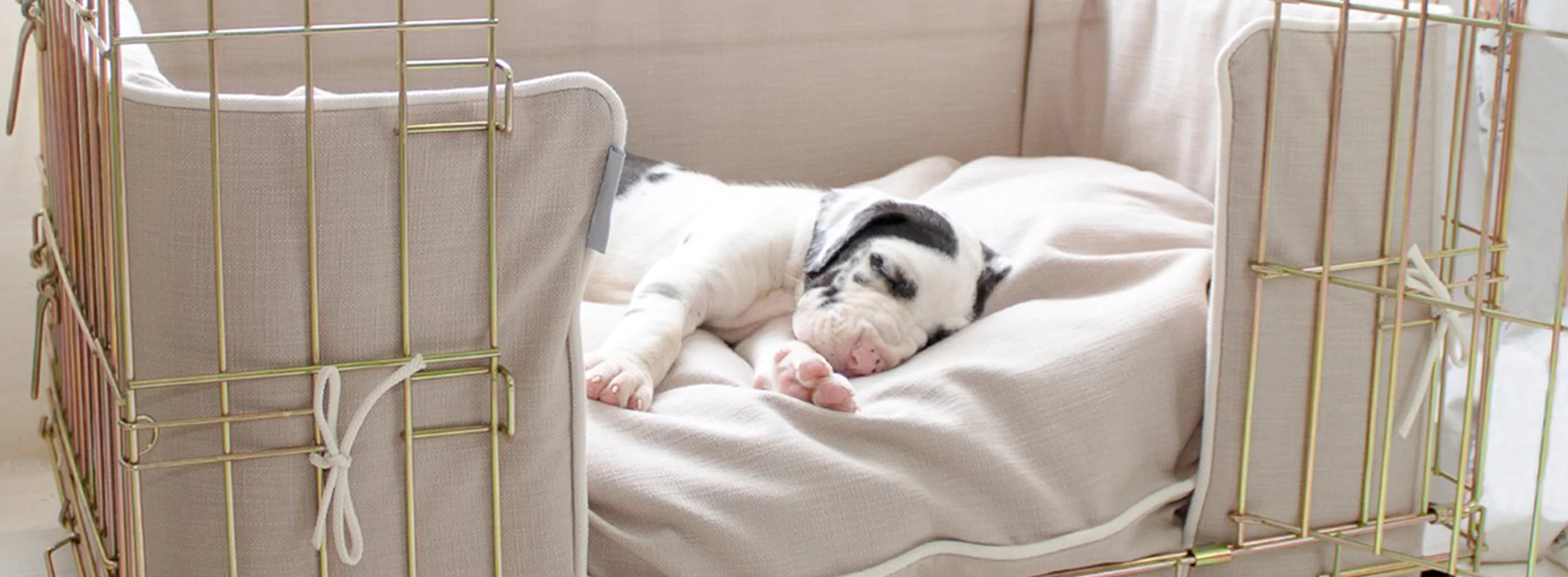 Cheap Lords & Labradors Store 3 Cheap Lords & Labradors Store -Cheap Lords & Labradors Store 2